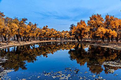 空岛生存经营冒险新游《Solarpunk》开启众筹 预定登陆多平台